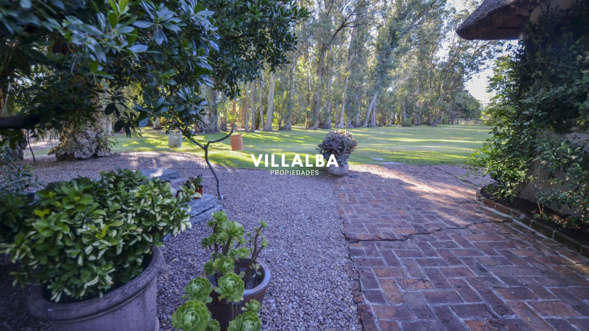 Chacra ID.4537 - 