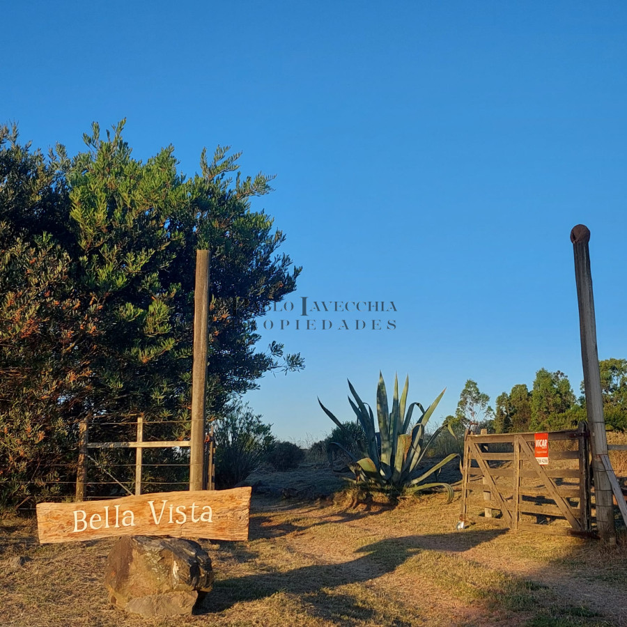 Chacra ID.214 - ATENCION!!! Chacra 5 hás. con Olivos 