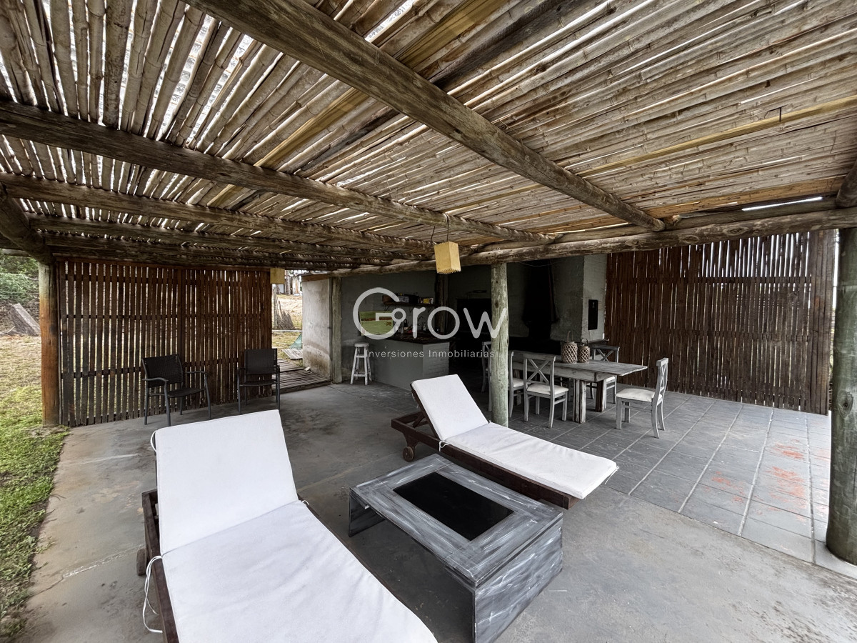 Chihuahua - GoPunta - Portal Inmobiliario de Punta del Este - Maldonado