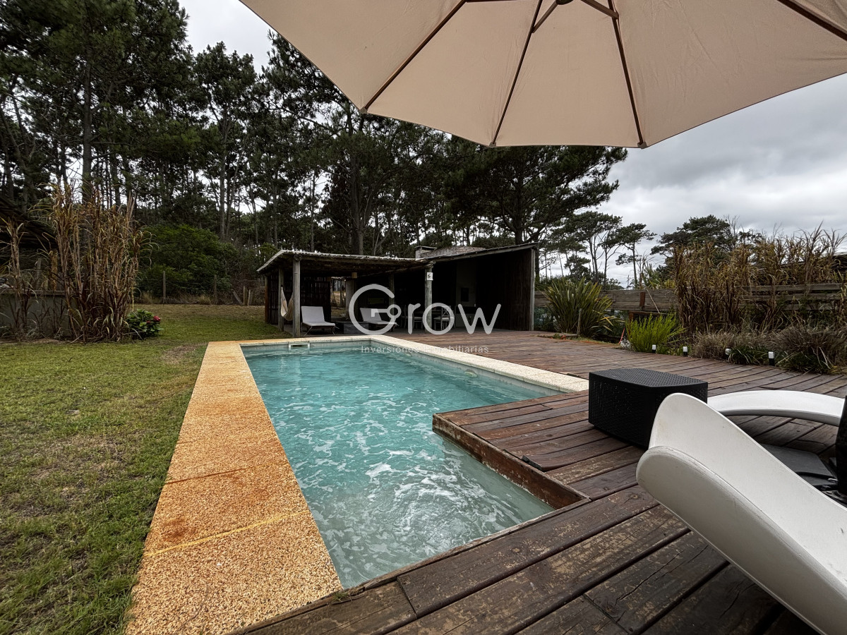 Chihuahua - GoPunta - Portal Inmobiliario de Punta del Este - Maldonado