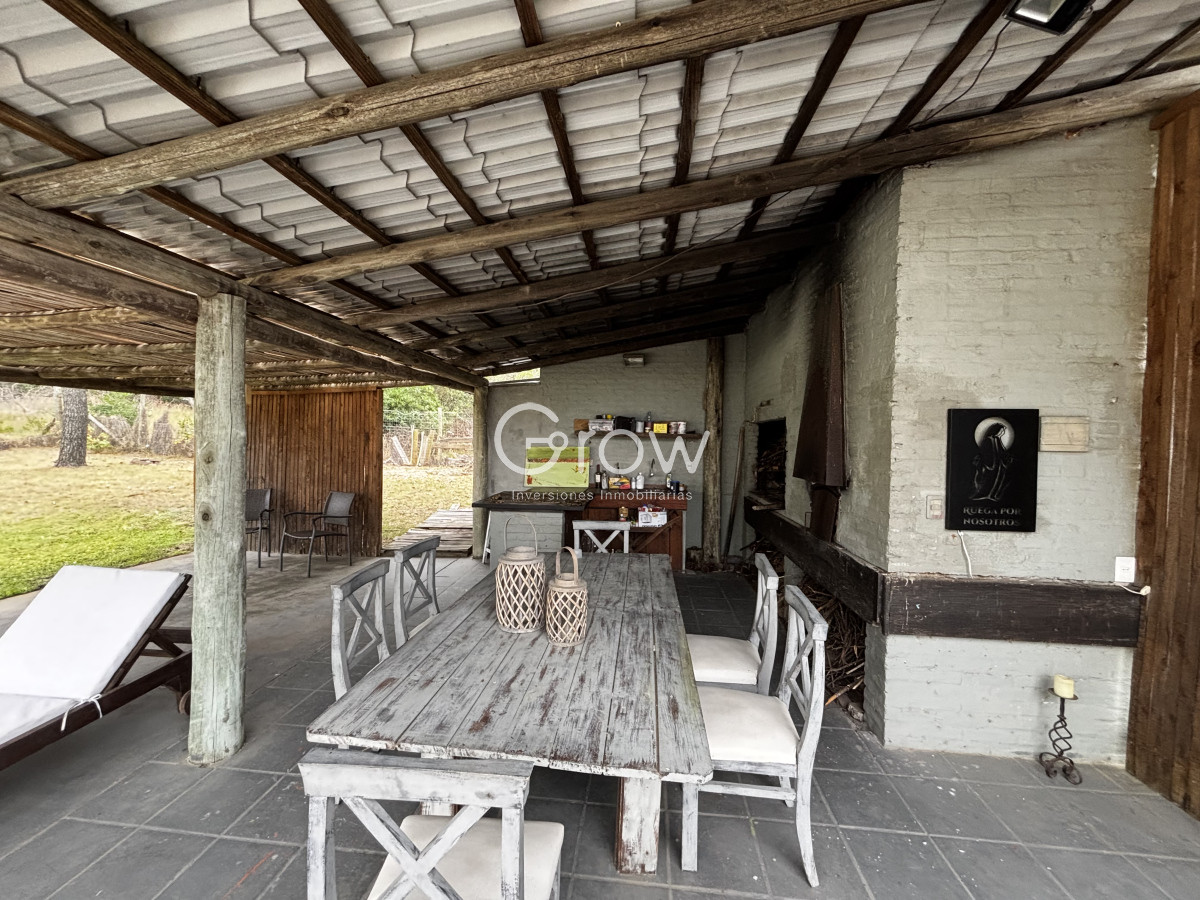 Chihuahua - GoPunta - Portal Inmobiliario de Punta del Este - Maldonado