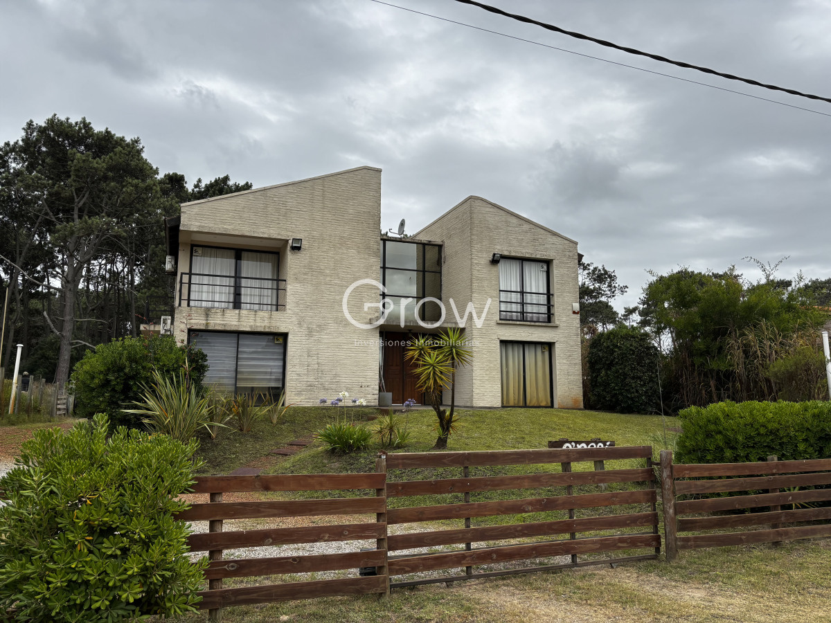 Chihuahua - GoPunta - Portal Inmobiliario de Punta del Este - Maldonado
