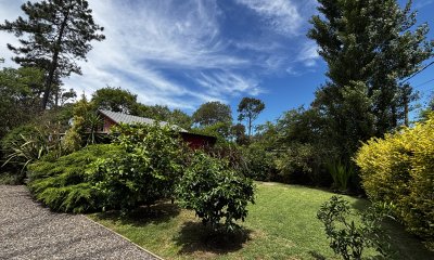 Hermoso jardín!