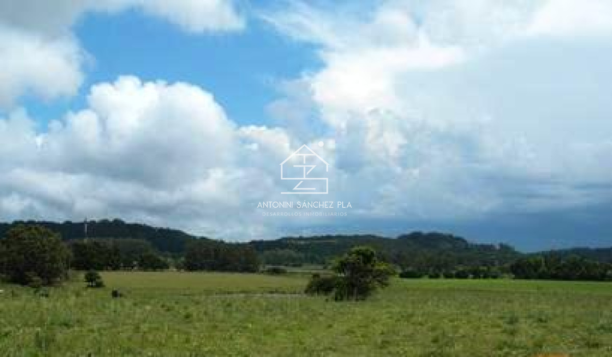 Chacra ID.4065 - Chacra en venta Punta Ballena La Pataia