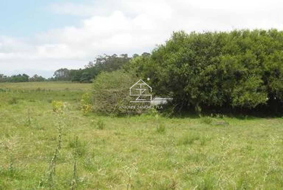 Chacra ID.4065 - Chacra en venta Punta Ballena La Pataia