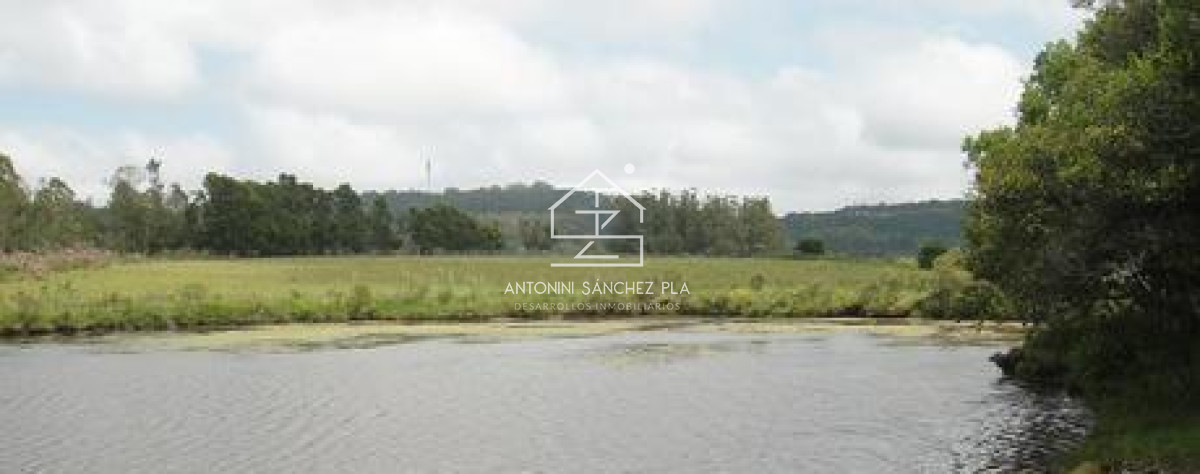 Chacra ID.4065 - Chacra en venta Punta Ballena La Pataia