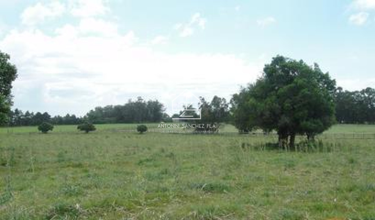 Chacra ID.4066 - Venta Chacra La Pataia 