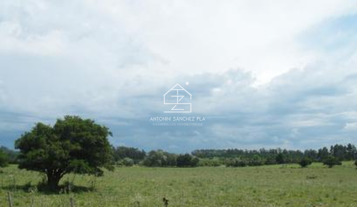 Chacra ID.4065 - Chacra en venta Punta Ballena La Pataia