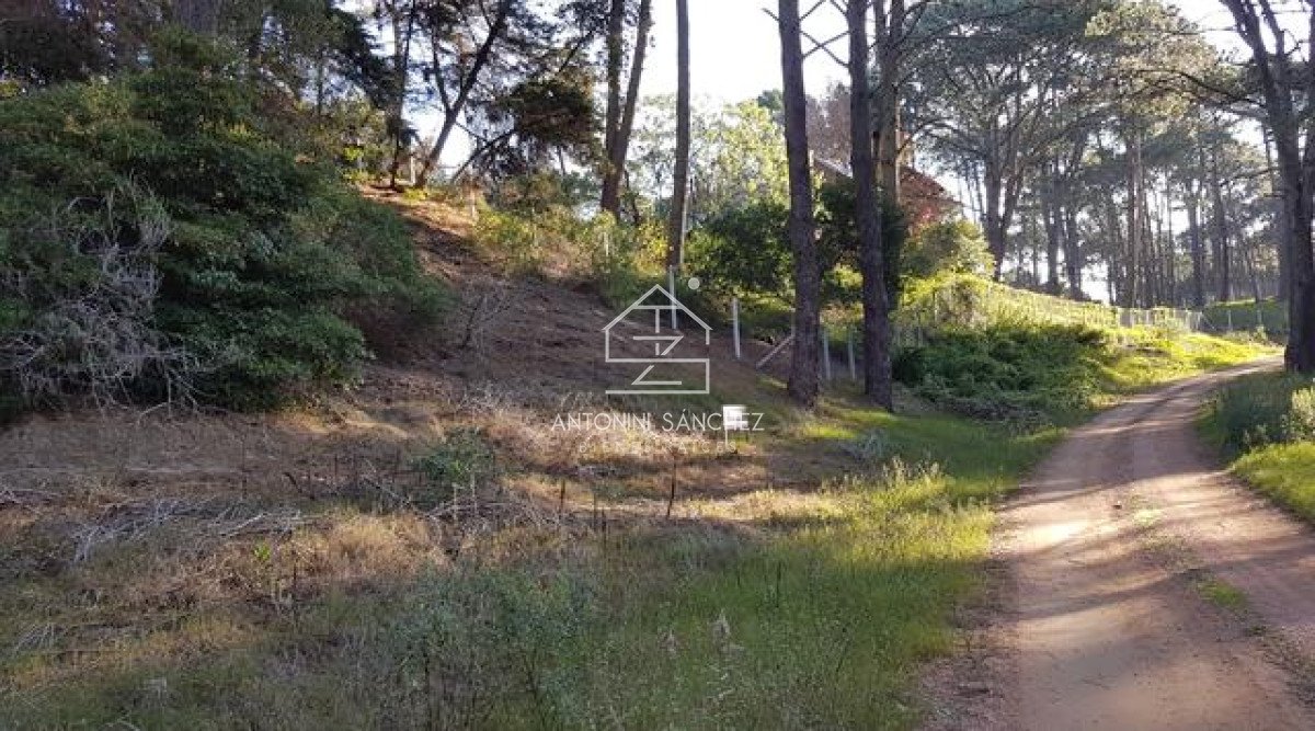 Terreno ID.1730 - Club del Lago 