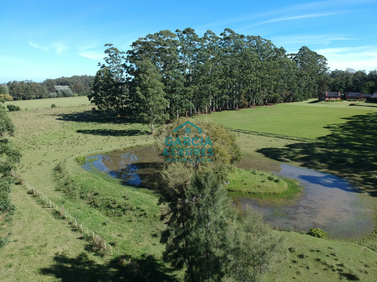 Chacra ID.200 - Chacra en Punta Ballena Lapataia 
