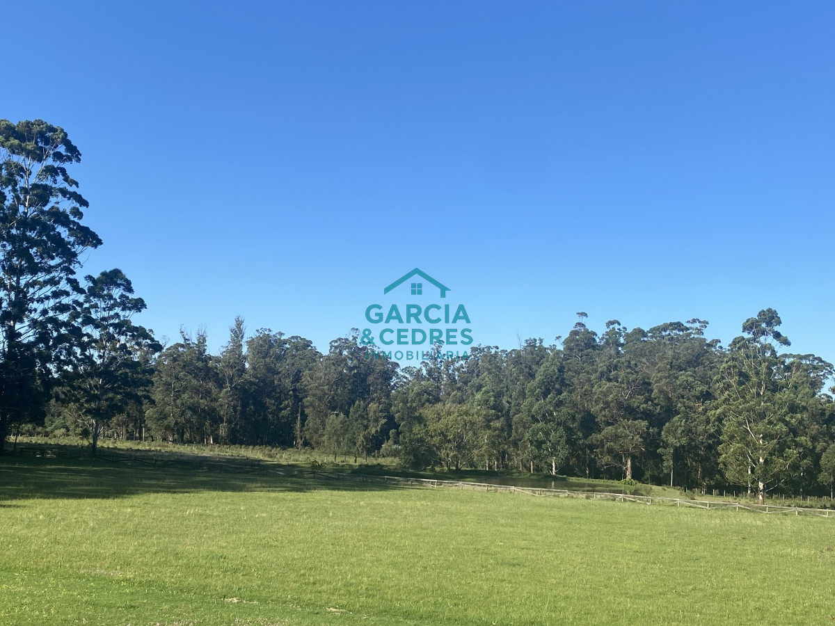 Chacra ID.200 - Chacra en Punta Ballena Lapataia 