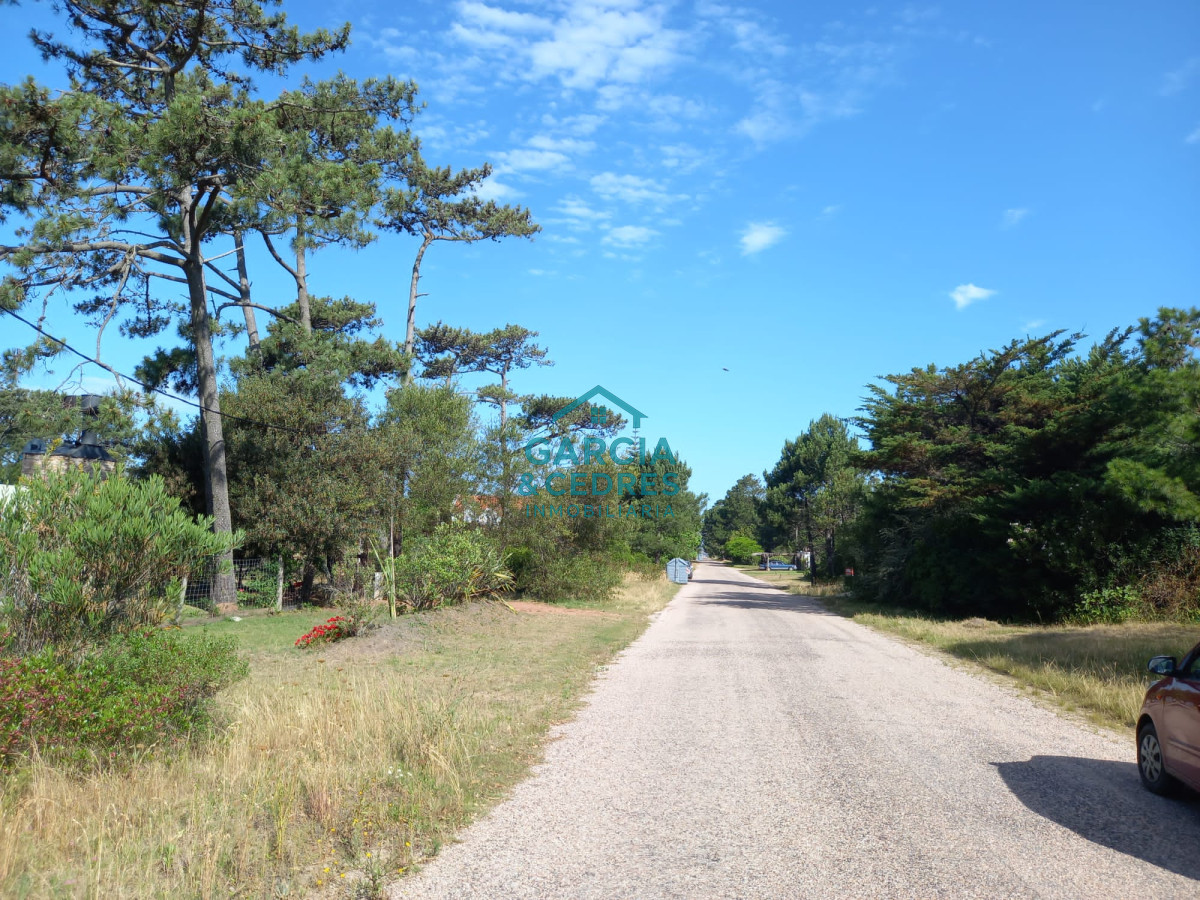 Terreno ID.139 - Terreno en Punta Ballena, Tio Tom