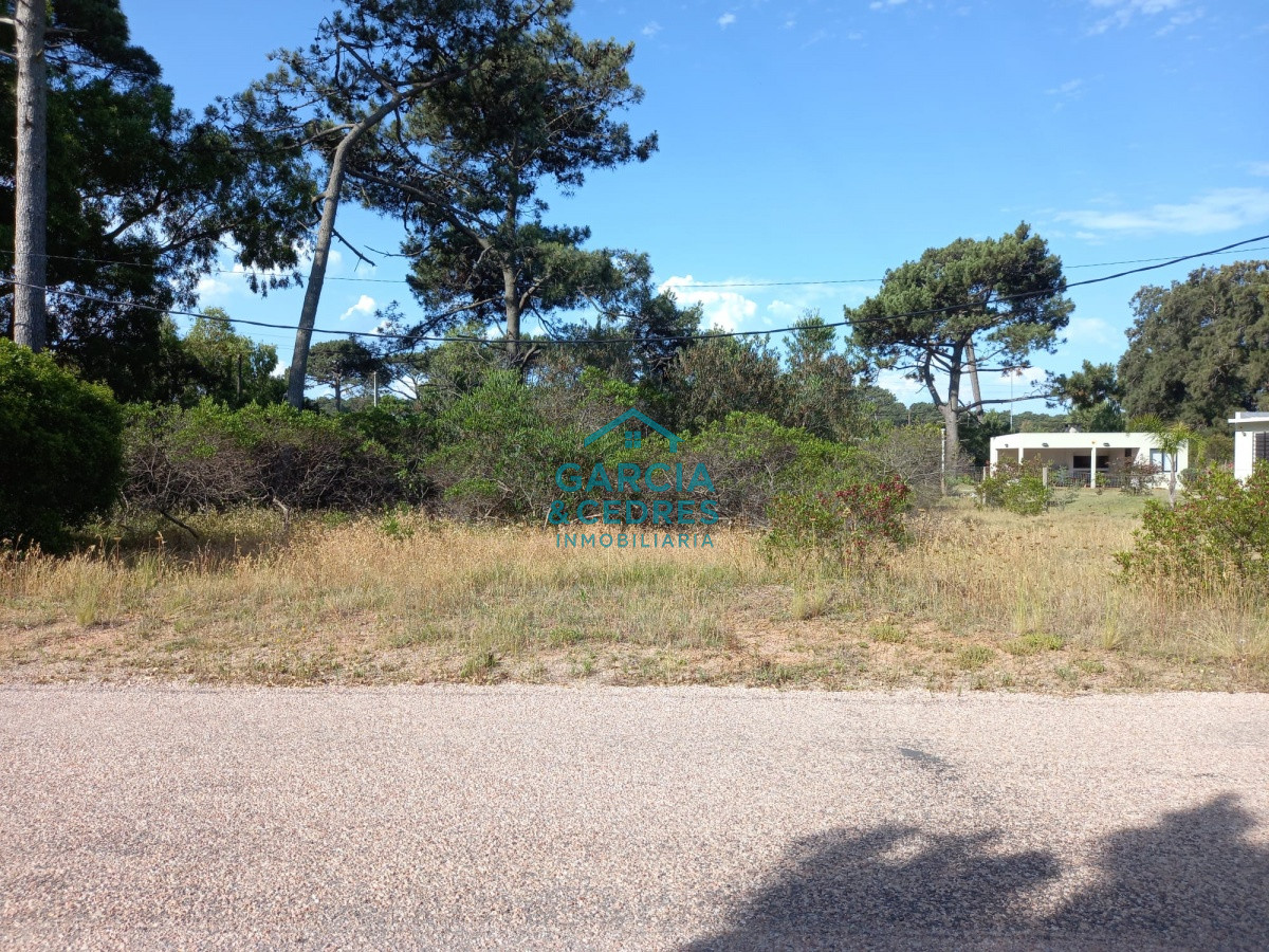Terreno ID.139 - Terreno en Punta Ballena, Tio Tom