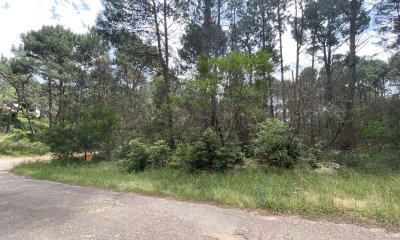Terreno en Club del Lago Punta Ballena