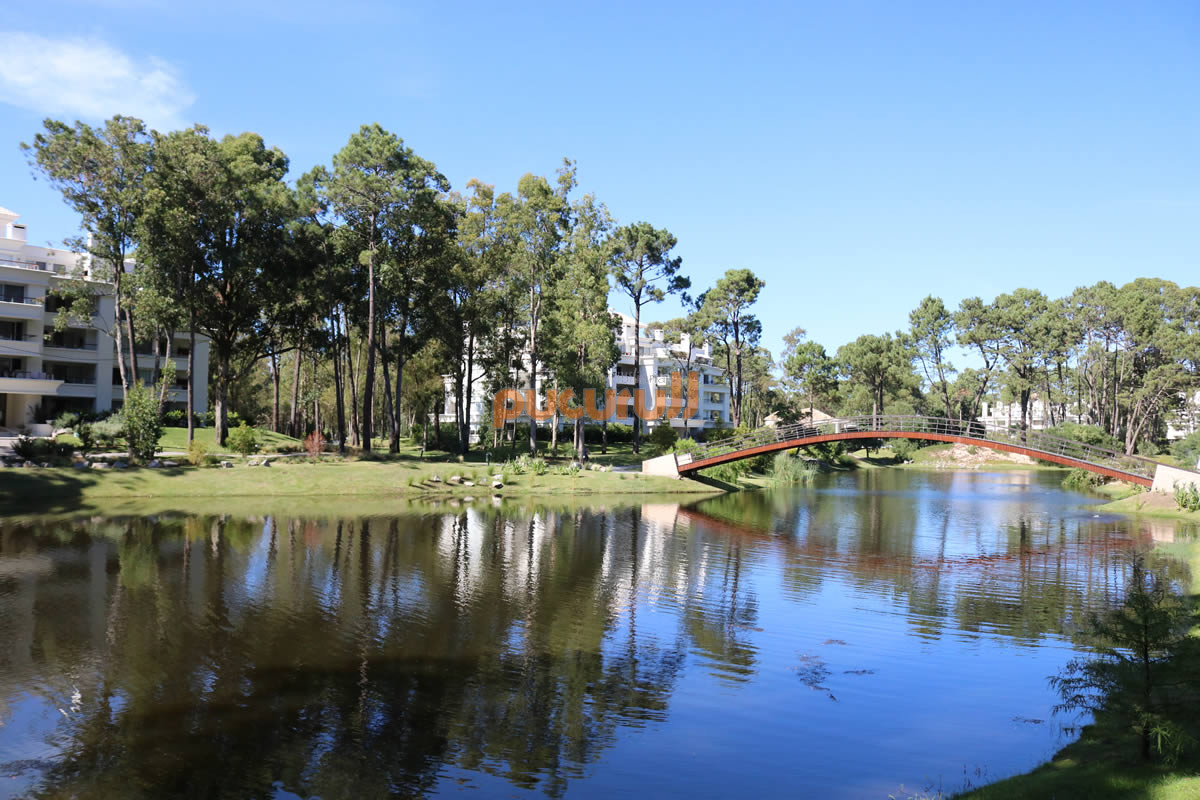 Apartamento ID.1266 - Hermoso pent house