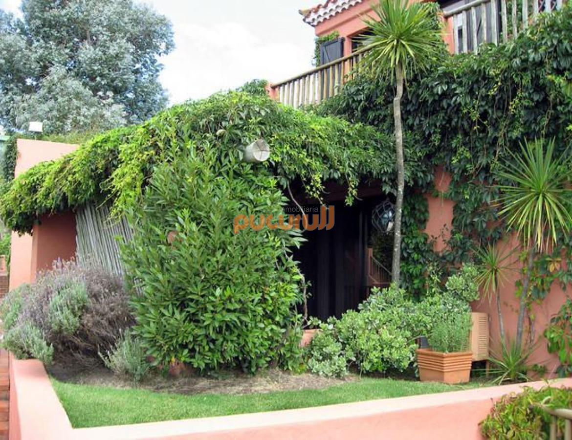 Apartamento ID.514 - Apartamento en Punta Ballena, Lomo de la Ballena