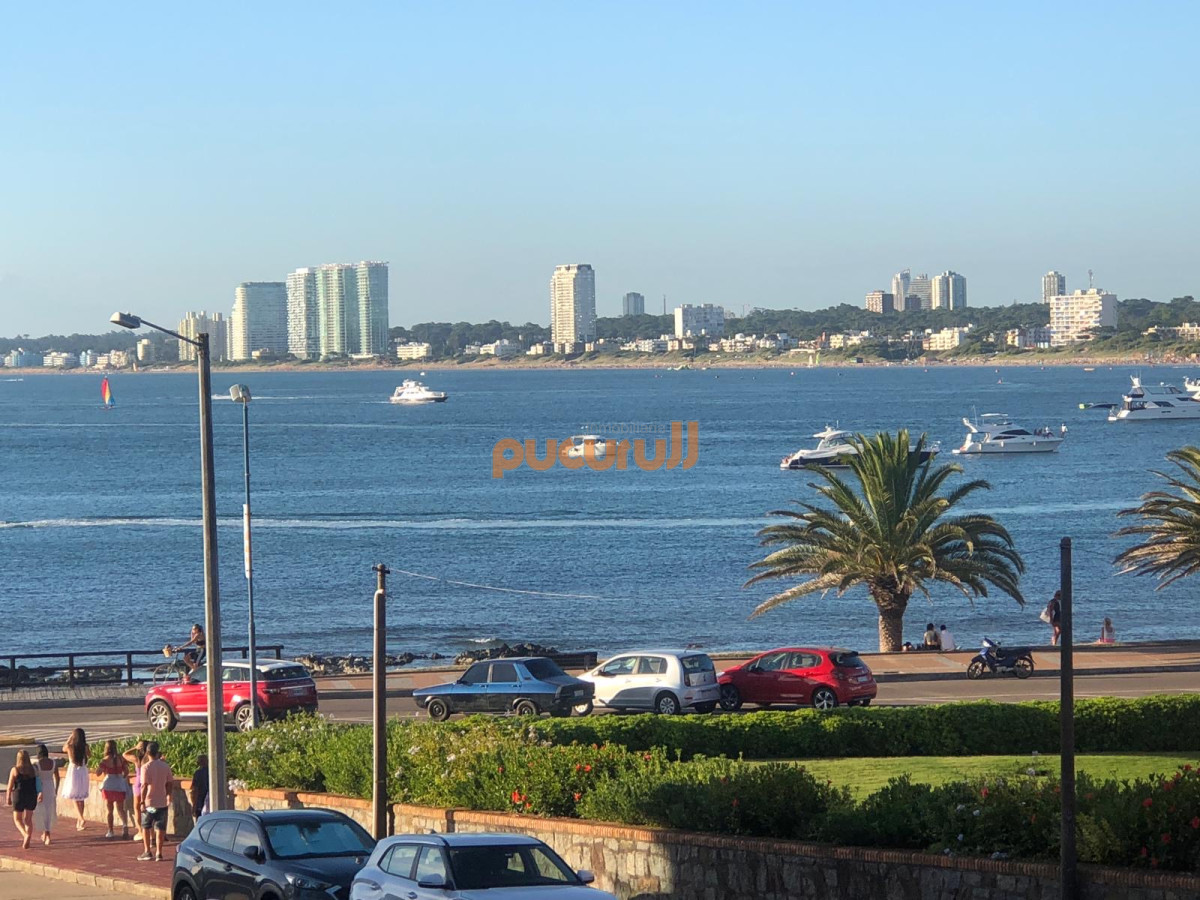 Península - GoPunta - Portal Inmobiliario de Punta del Este - Maldonado