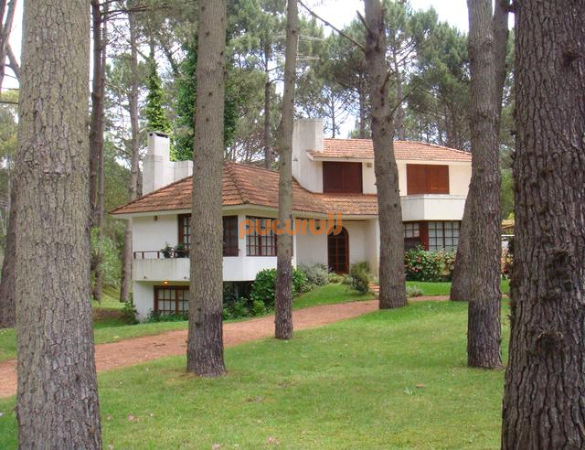 Portezuelo Bosque - GoPunta - Portal Inmobiliario de Punta del Este - Maldonado
