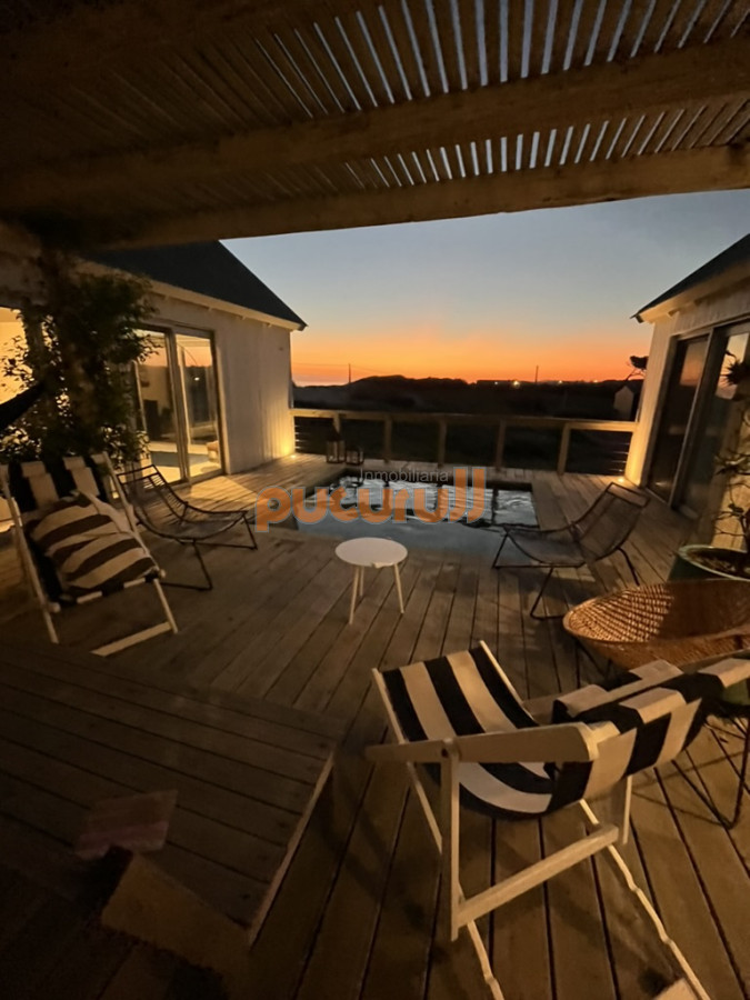 Chihuahua - GoPunta - Portal Inmobiliario de Punta del Este - Maldonado