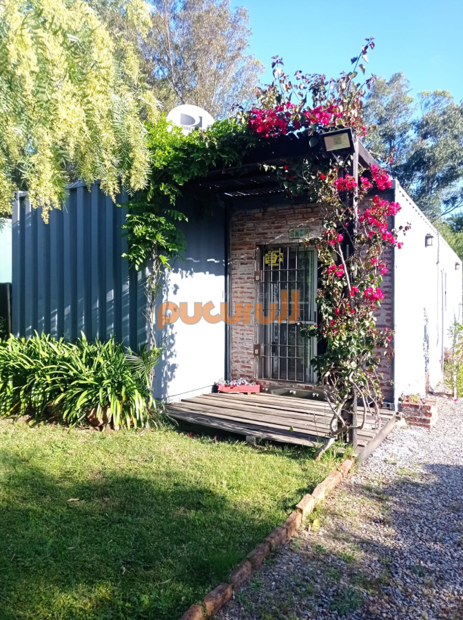 Sauce de Portezuelo - GoPunta - Portal Inmobiliario de Punta del Este - Maldonado