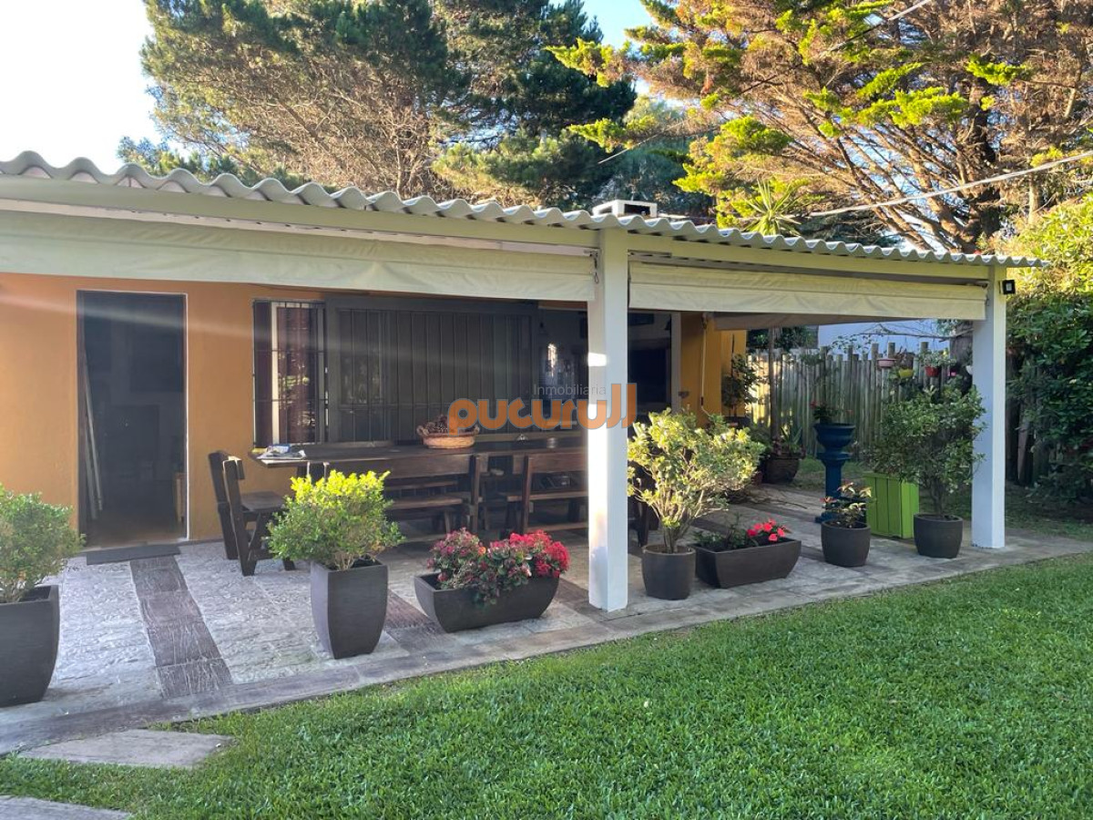Tio Tom - GoPunta - Portal Inmobiliario de Punta del Este - Maldonado