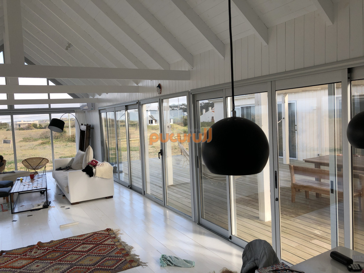 Chihuahua - GoPunta - Portal Inmobiliario de Punta del Este - Maldonado