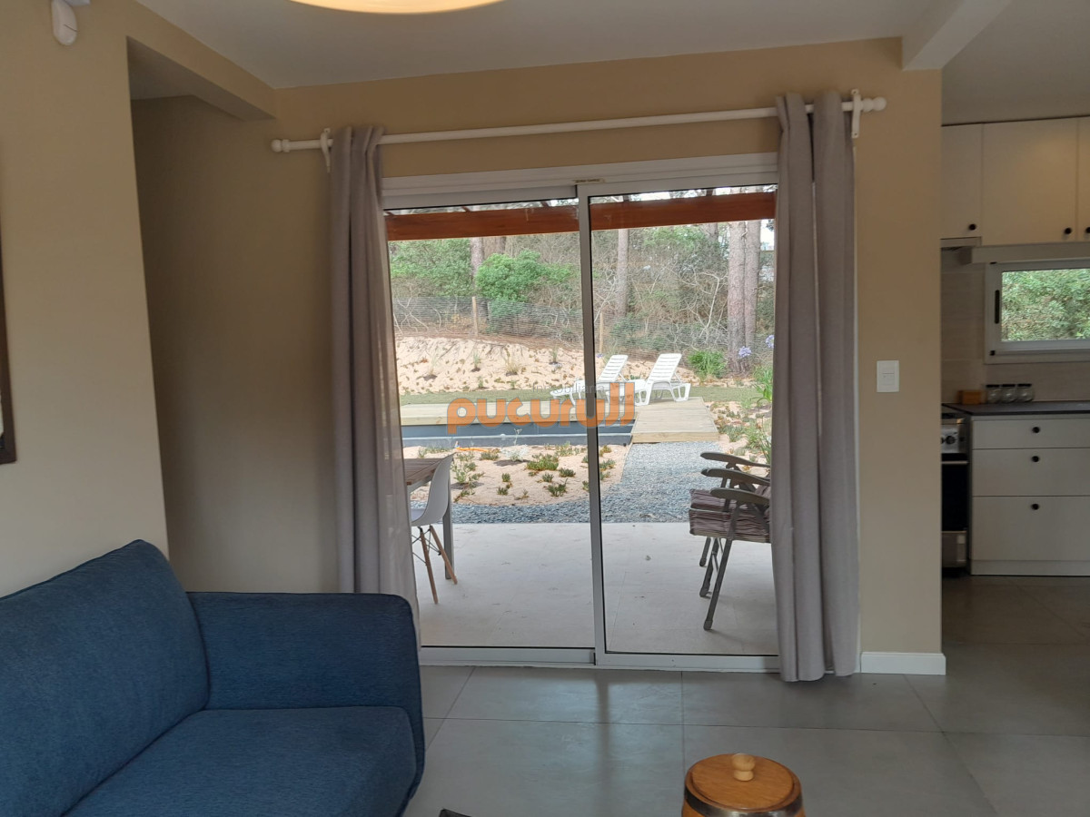 Chihuahua - GoPunta - Portal Inmobiliario de Punta del Este - Maldonado