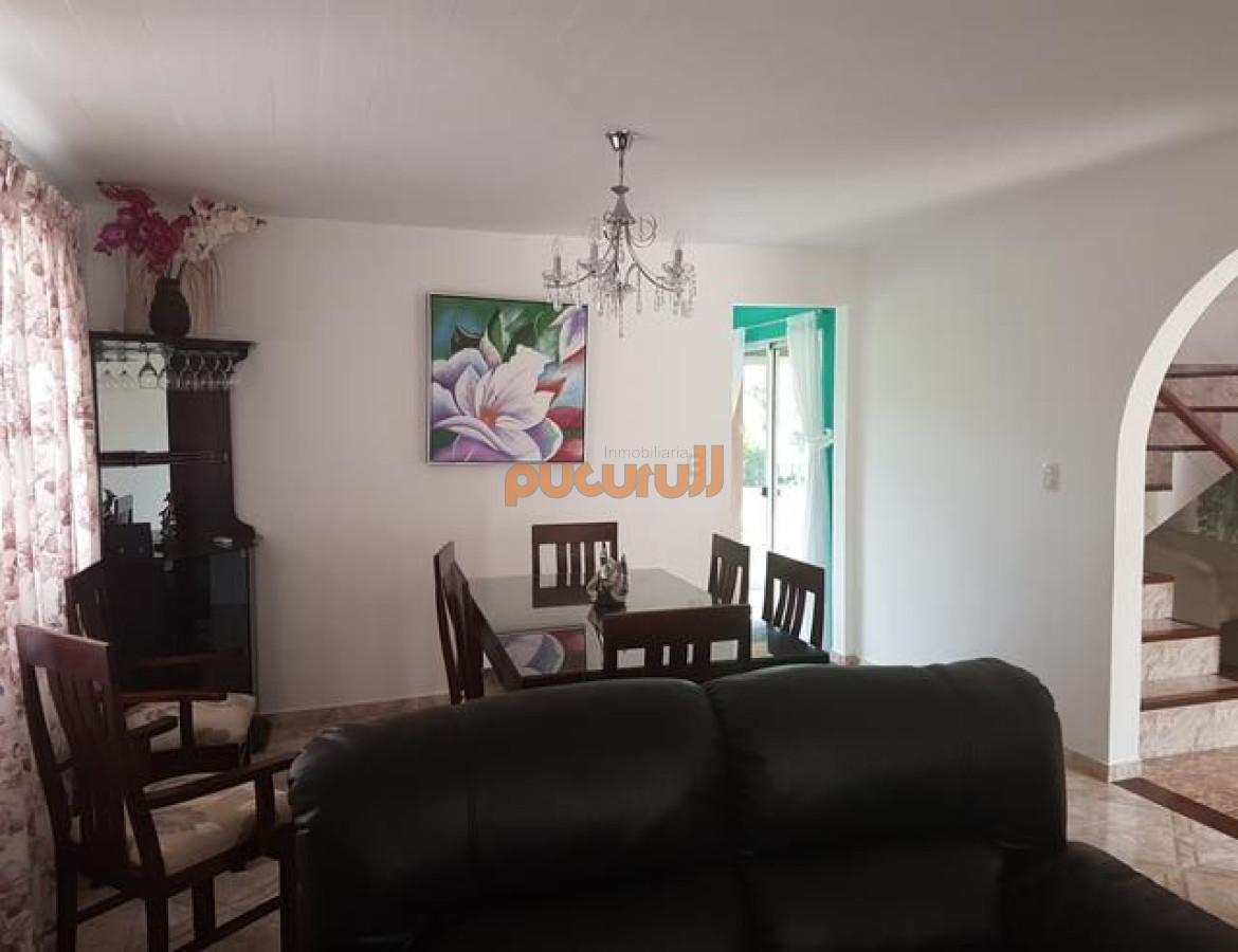 Tio Tom - GoPunta - Portal Inmobiliario de Punta del Este - Maldonado
