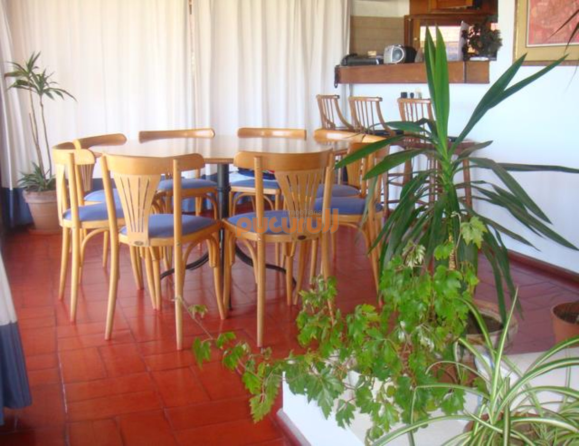 Tio Tom - GoPunta - Portal Inmobiliario de Punta del Este - Maldonado