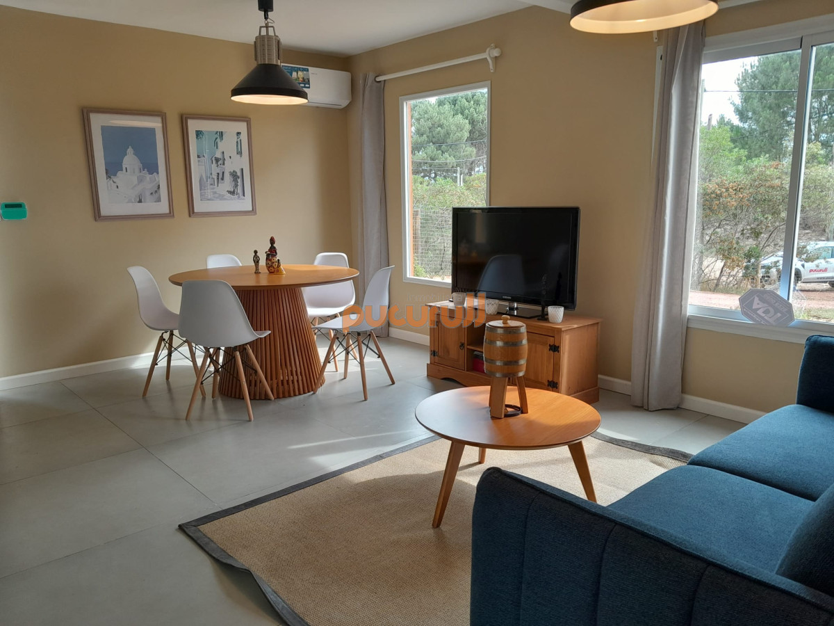 Chihuahua - GoPunta - Portal Inmobiliario de Punta del Este - Maldonado