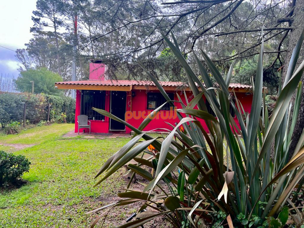 Casa en Punta Ballena, Portezuelo Bosque