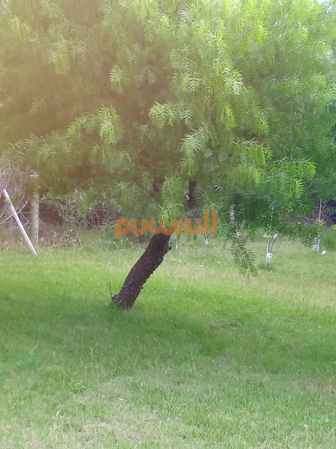 Casa ID.1394 - Casa en Punta Ballena, Portezuelo Bosque