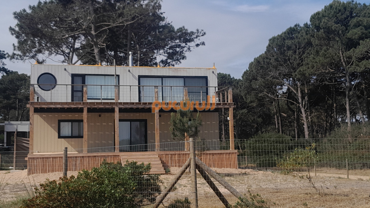 Chihuahua - GoPunta - Portal Inmobiliario de Punta del Este - Maldonado