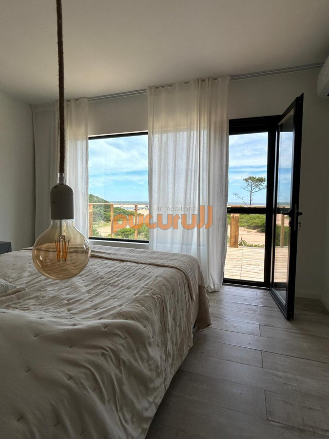 Chihuahua - GoPunta - Portal Inmobiliario de Punta del Este - Maldonado
