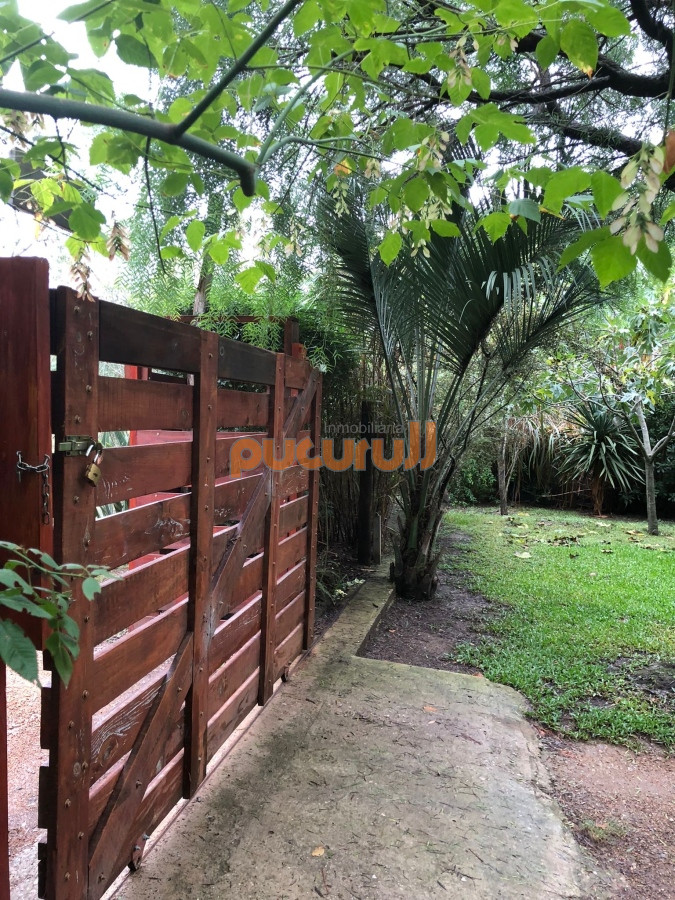 Sauce de Portezuelo - GoPunta - Portal Inmobiliario de Punta del Este - Maldonado
