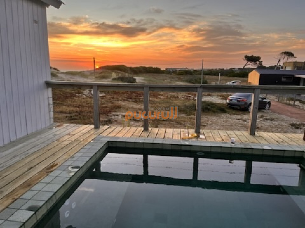 Chihuahua - GoPunta - Portal Inmobiliario de Punta del Este - Maldonado