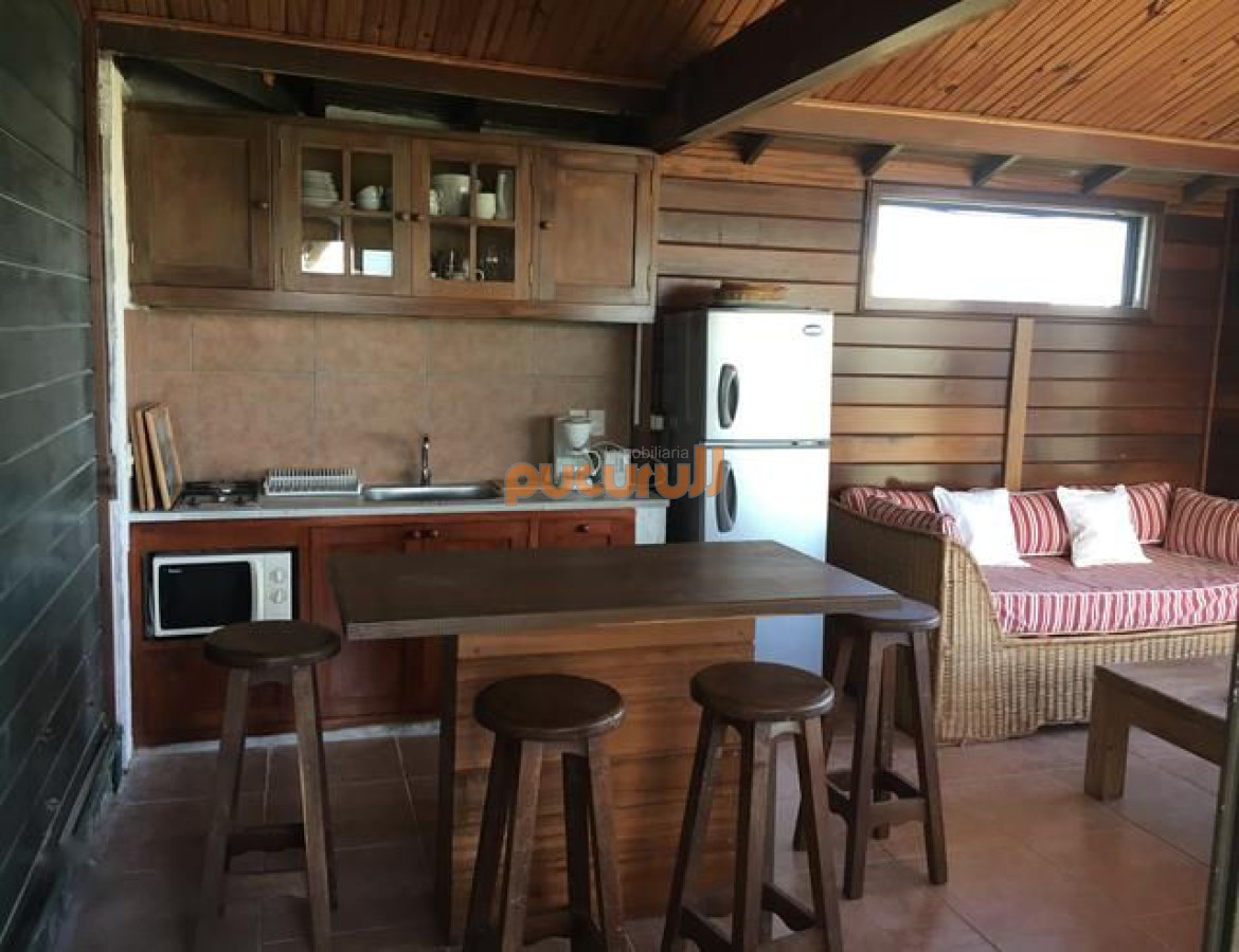 Tio Tom - GoPunta - Portal Inmobiliario de Punta del Este - Maldonado