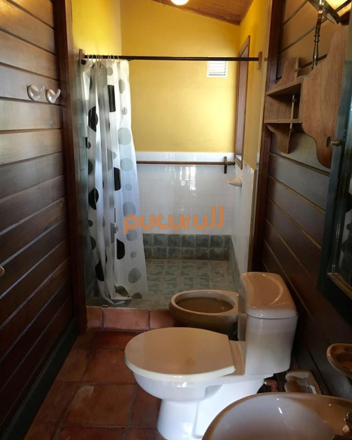 Tio Tom - GoPunta - Portal Inmobiliario de Punta del Este - Maldonado