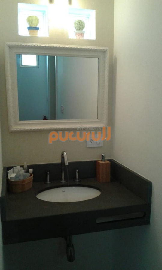 Tio Tom - GoPunta - Portal Inmobiliario de Punta del Este - Maldonado