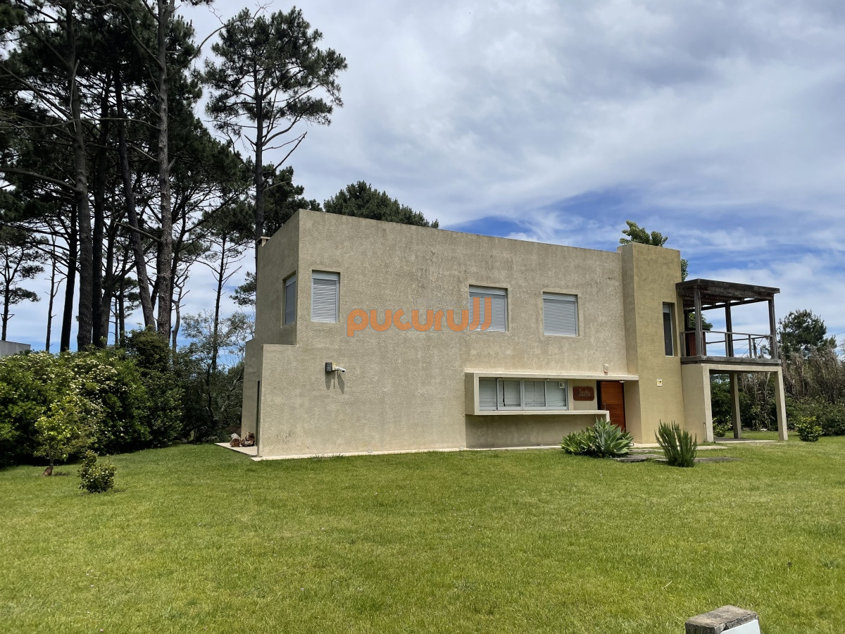Tio Tom - GoPunta - Portal Inmobiliario de Punta del Este - Maldonado