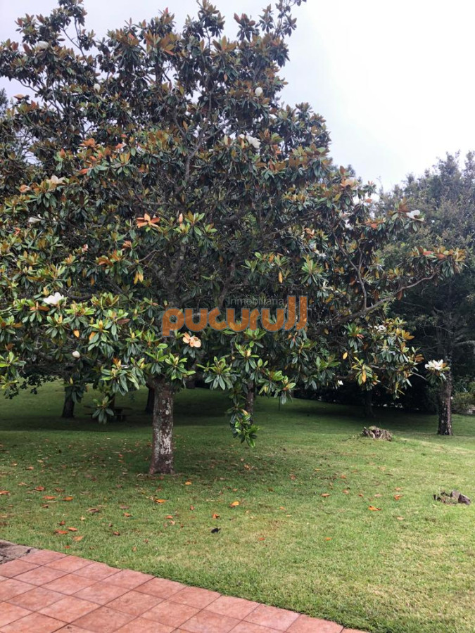 Casa ID.176 - Casa en Punta Ballena, Solanas