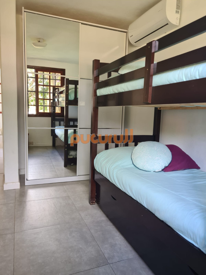 Chihuahua - GoPunta - Portal Inmobiliario de Punta del Este - Maldonado