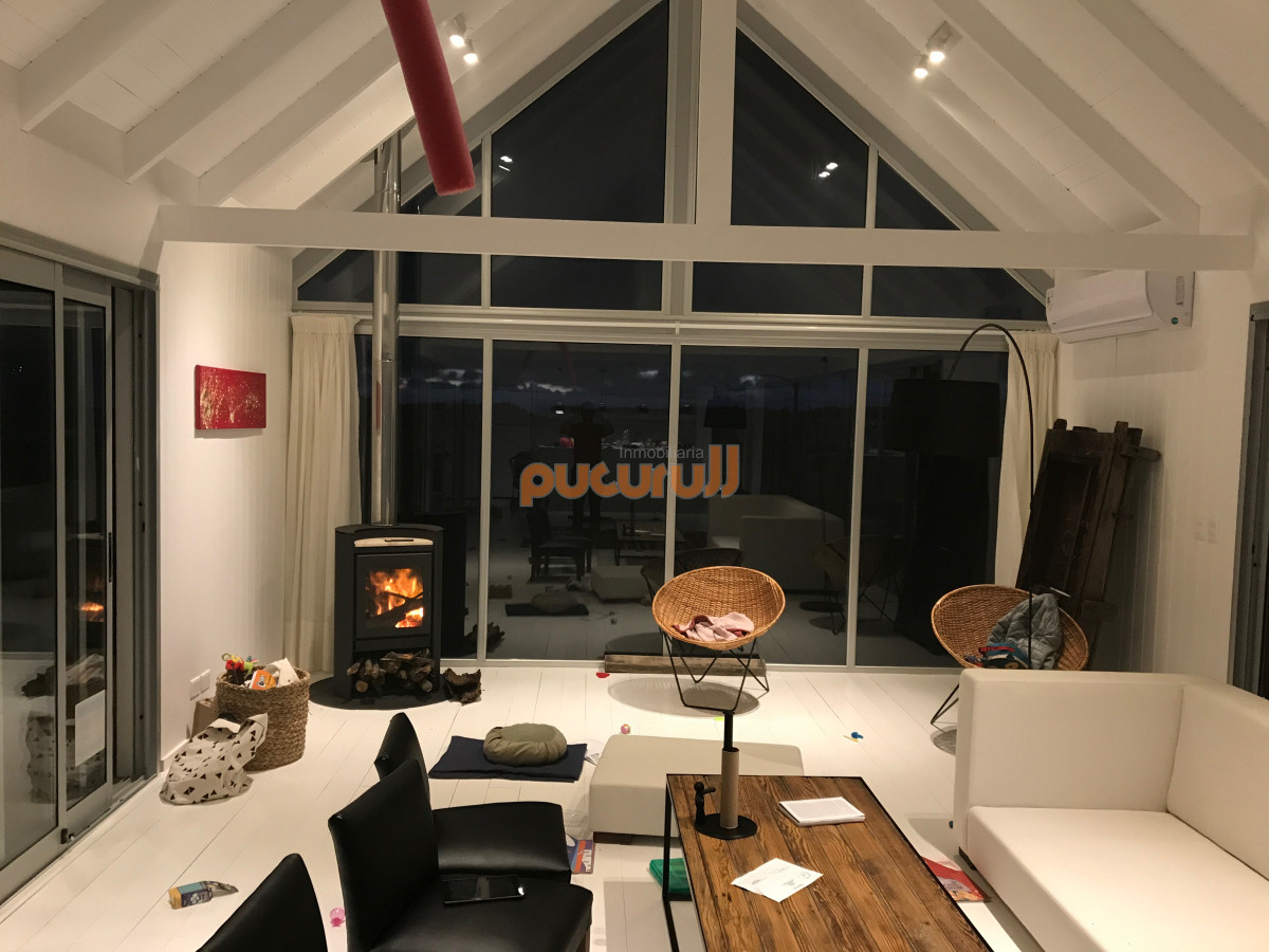 Chihuahua - GoPunta - Portal Inmobiliario de Punta del Este - Maldonado