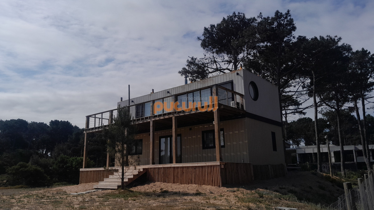 Chihuahua - GoPunta - Portal Inmobiliario de Punta del Este - Maldonado