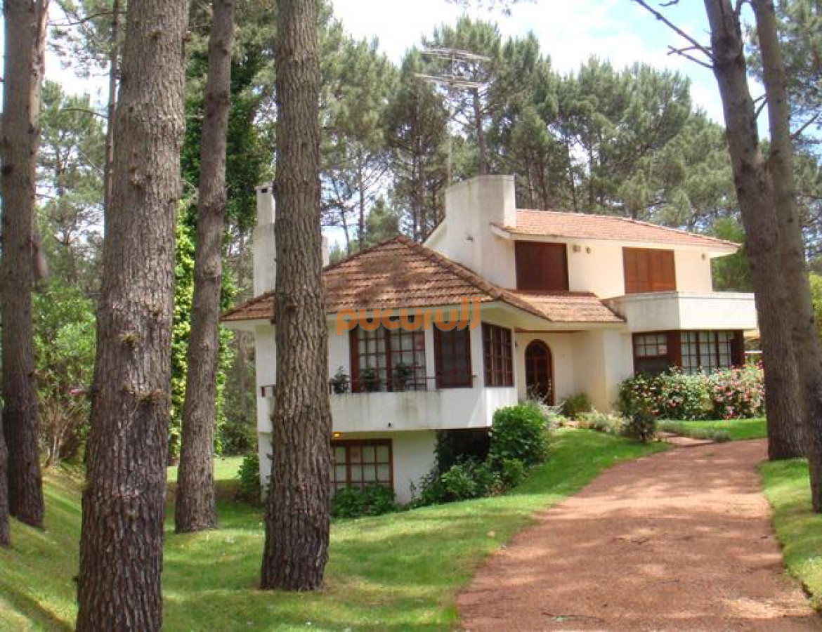 Portezuelo Bosque - GoPunta - Portal Inmobiliario de Punta del Este - Maldonado