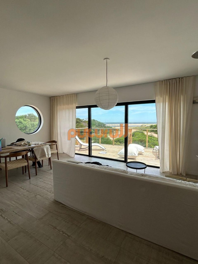 Chihuahua - GoPunta - Portal Inmobiliario de Punta del Este - Maldonado