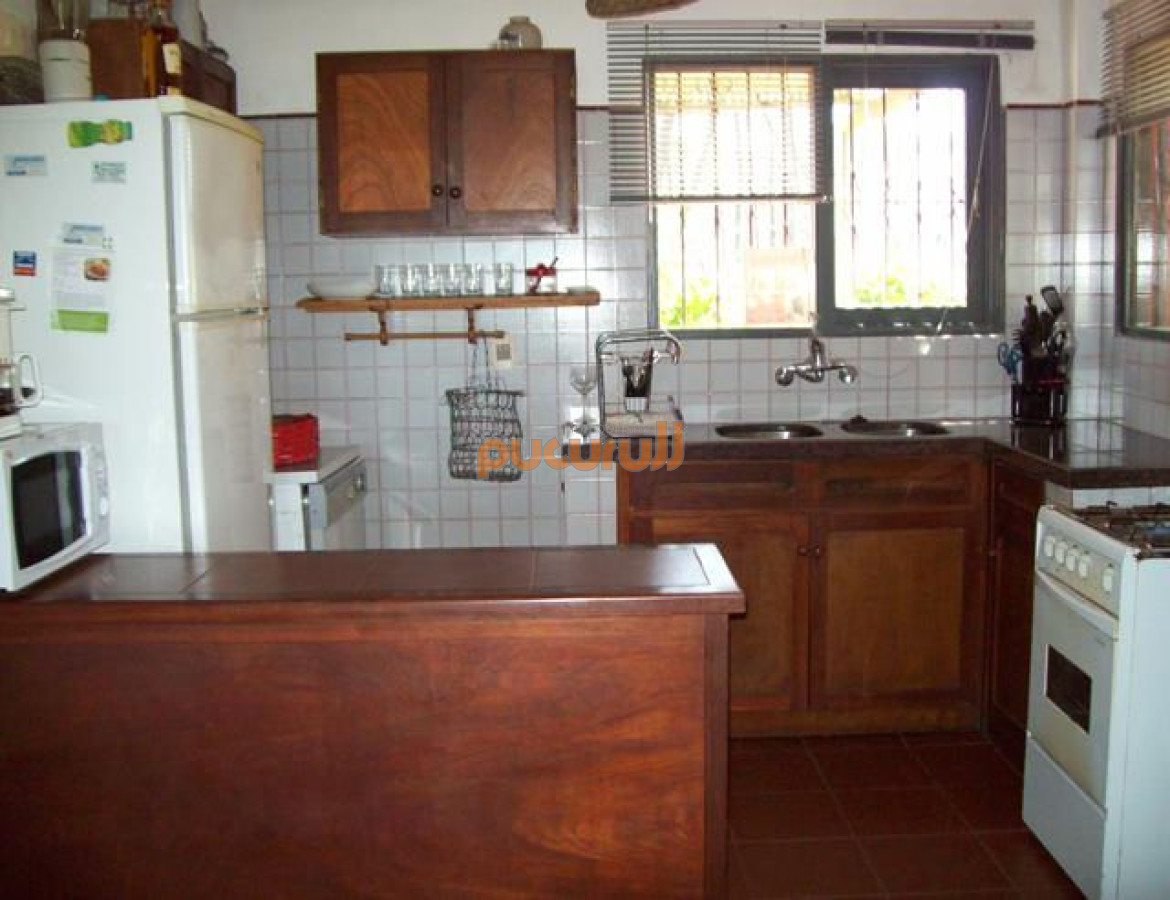 Chihuahua - GoPunta - Portal Inmobiliario de Punta del Este - Maldonado