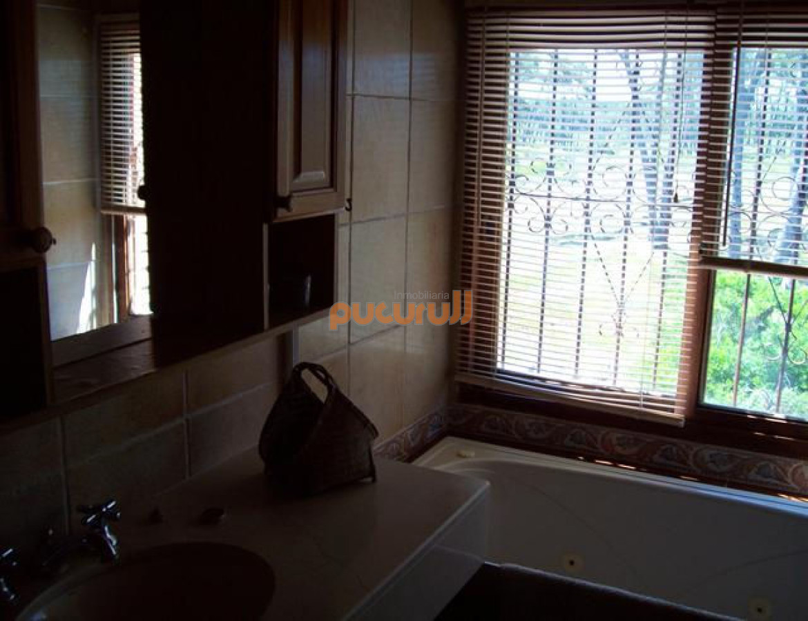Chihuahua - GoPunta - Portal Inmobiliario de Punta del Este - Maldonado