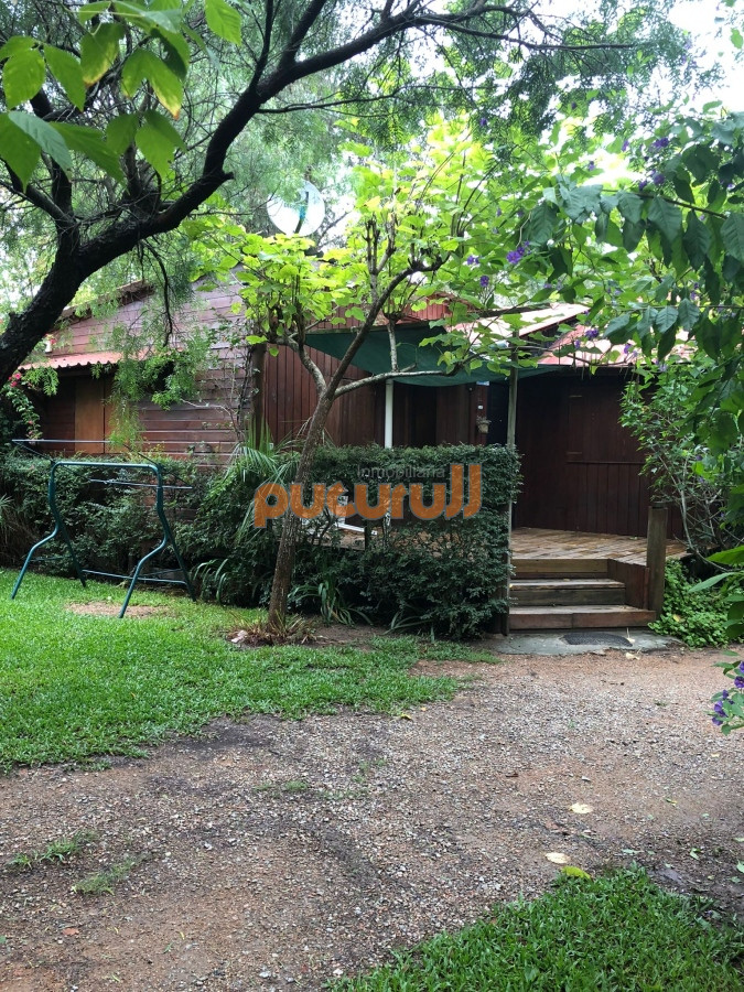 Sauce de Portezuelo - GoPunta - Portal Inmobiliario de Punta del Este - Maldonado