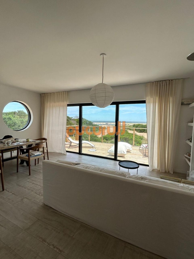 Chihuahua - GoPunta - Portal Inmobiliario de Punta del Este - Maldonado